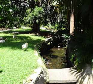 Stadtrundgang Sydney