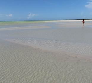 Fußmarsch von ca.1,5 km