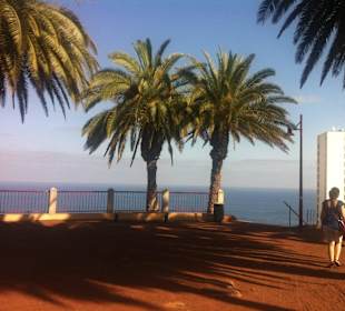 Oben beim Taoro Parque