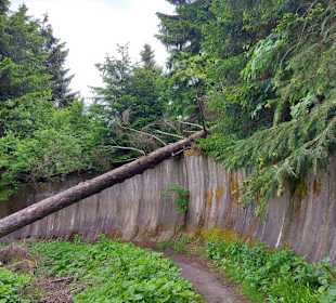 Ehemalige Rennrodelbahn
