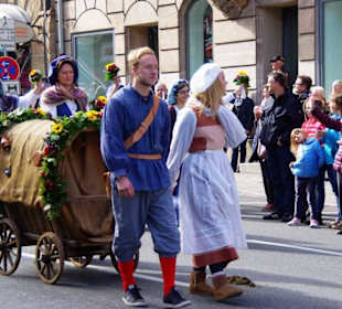 Hiltpoltsteiner Burgfesttrommler und Fahnenschwing