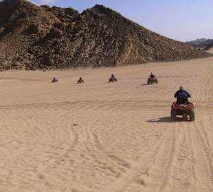 Quadtour, unsere Gruppe