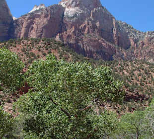 Parco nazionale Zion