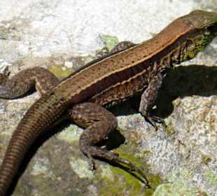 Relax Day Tour mit Federico. Eine kleine Auswahl