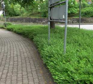 Dorfplatz am Rathaus