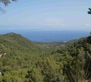 Serra de Tramuntana