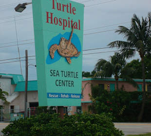 Einfahrt Turtle Hospital