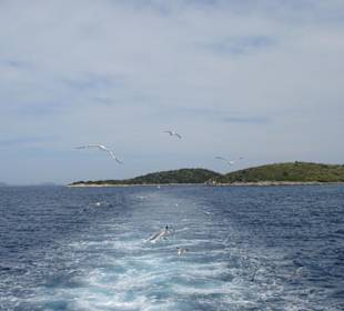 Begleitung des Ausfluges