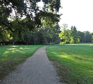 Spaziergang durch den Stadtpark Lübeck