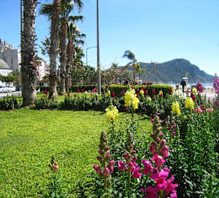 Alanya