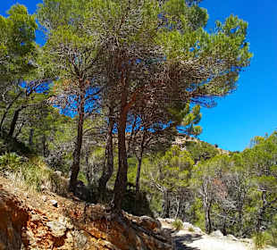 Wandern Cala Ratjada