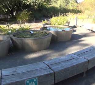 Botanischer Garten
