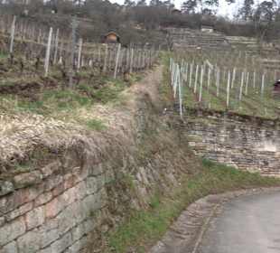 Unterjesinger Wengertwegle