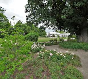 Spaziergang durch den Rosengarten Coburg