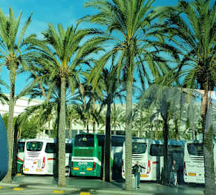 Flughafen Palma de Mallorca/Son Sant Joan (PMI)	