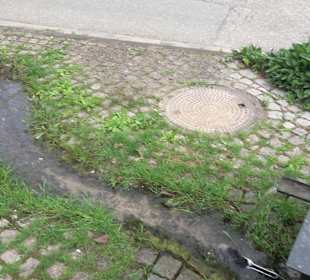 Historischer Dorfbrunnen Oberwaldachtal