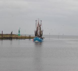 Der Hafen von Fedderwardersiel