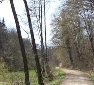 Spazierweg Ritter Museum