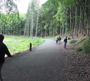 Nationalpark Jasmund