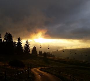 Abendspazierang 20 Minuten bergauf in Richtung Grünten
