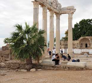 Apollon Tempel