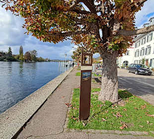 Hafen Stein am Rhein