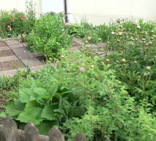 Kräutergarten Heiligenbronn