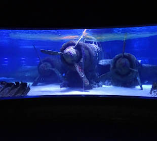 Antalya - Aquarium Park