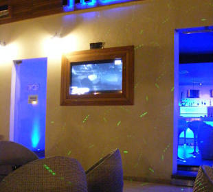 Schöne moderne Oase