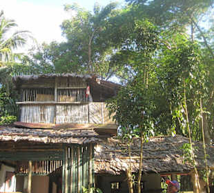 Zu Hause in der Natur