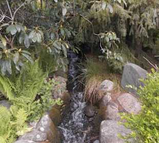 Weltvogelpark Walsrode