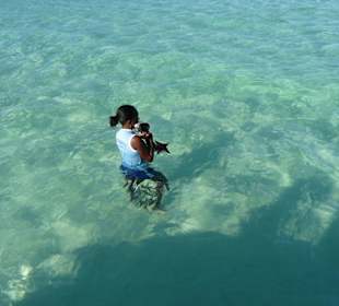 Seesterne zum Anfassen