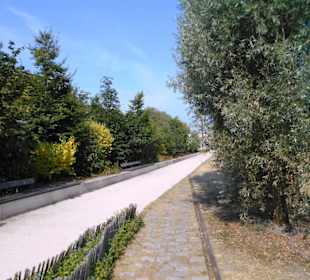 Park Prairie Saint Sever