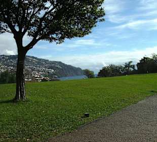 Aussicht vom Park über Funchal