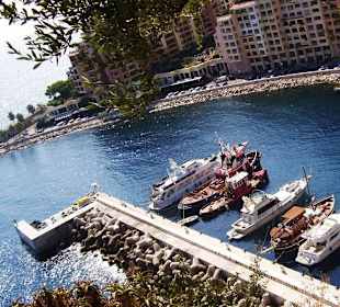 Вид с ботанического сада в Монако