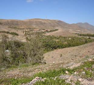 Oase mitten im Nichts