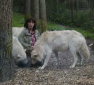 Tanja Askani bei den Wölfen