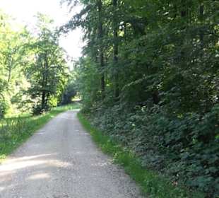 Waldlehrpfad St. Johann