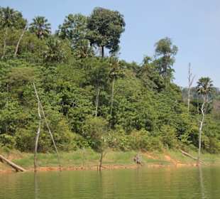 Dschungel- und Bootstour