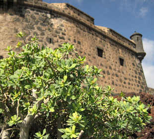 Castillo de San José