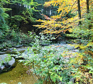 Schöne Herbstimpressionen