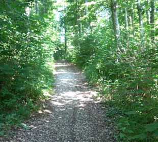 Ruine Hohenmelchingen