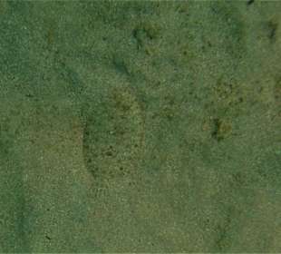 Schnorcheln Sahl Hasheesh