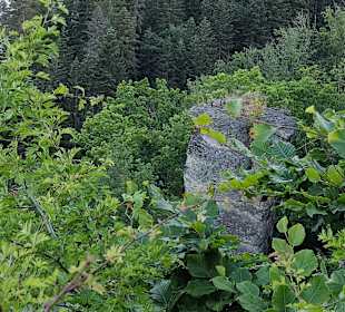 Wandern Bad Herrenalb