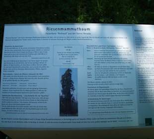 Informatives am Wegrand