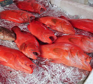 Rundgang über den Marché forain du Front de Mer