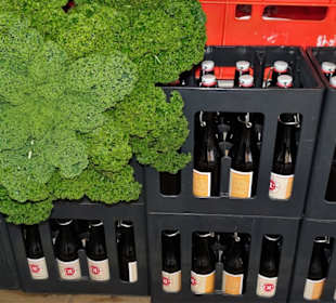 Grünkohl-Bier bei "Hallo Grünkohl"