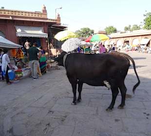 Auf dem Sadar Market