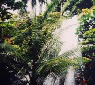 Sommerset Falls/Jamaika