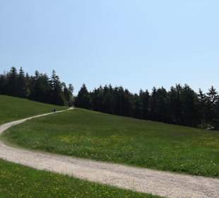 Wandergebiet Ruhestein